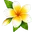 title icon